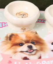 Could Pet Bowls - low / high / flat bowl